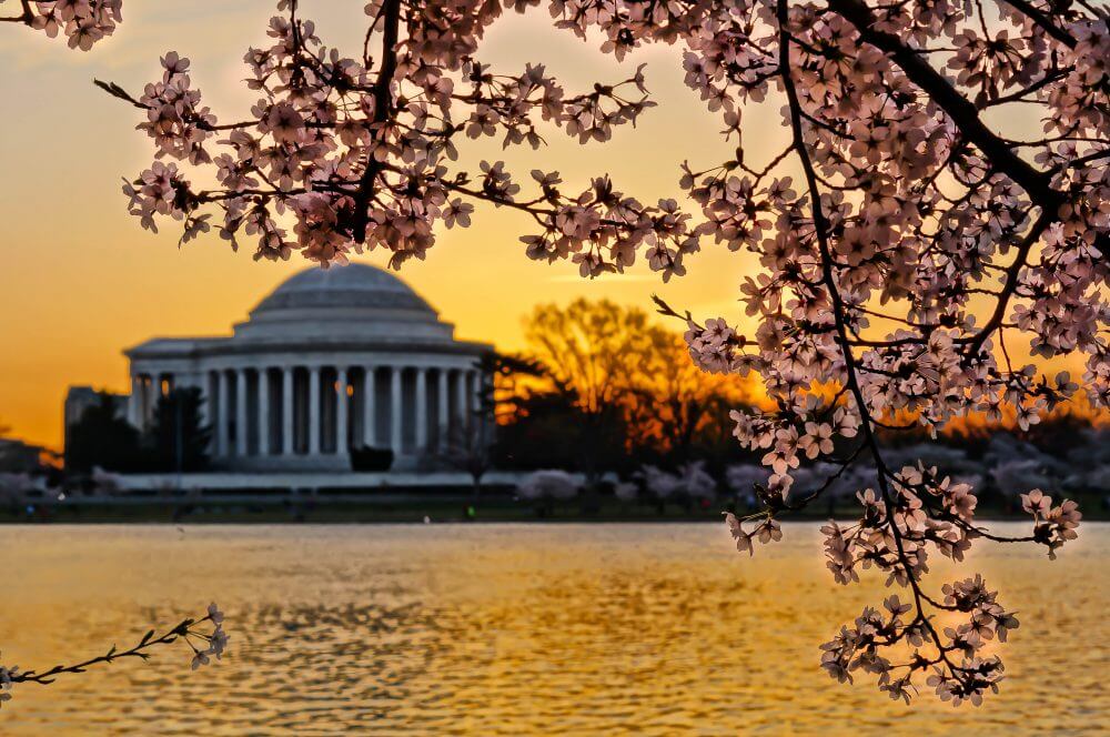 DC is one of fall's premier travel spots (PC: Sarah Ferrante Goodrich on Unsplash)